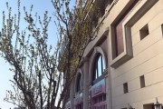 星空体育登录入口-家人来华，斯坦丘妻子分享在大连的照片